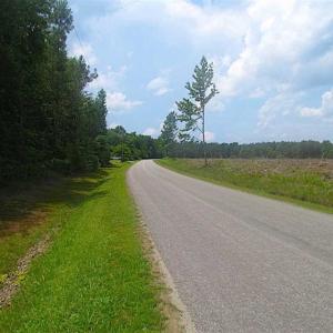 Photo of SOLD!!  5 Acres of Hunting Land of Southampton County VA!