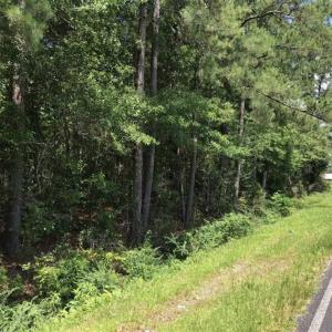 Photo of SOLD!!  6 Acres of Residential Land For Sale in Columbus County NC!