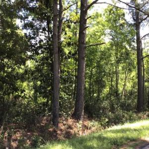 Photo of UNDER CONTRACT!!  6 Acres of Residential Land For Sale in Columbus County NC!