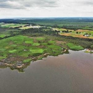 Photo of UNDER CONTRACT!!  109.38 Acres of Waterfront Land For Sale in Currituck County NC!