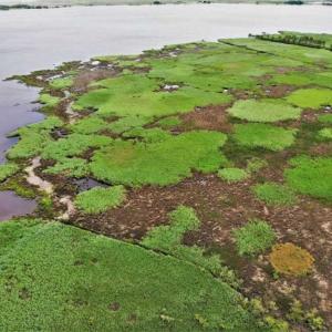 Photo of UNDER CONTRACT!!  109.38 Acres of Waterfront Land For Sale in Currituck County NC!