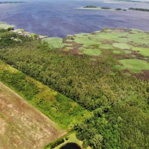 Photo of UNDER CONTRACT!!  109.38 Acres of Waterfront Land For Sale in Currituck County NC!