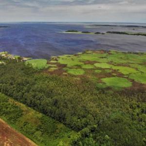 Photo of UNDER CONTRACT!!  109.38 Acres of Waterfront Land For Sale in Currituck County NC!