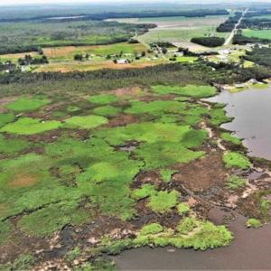 Photo of UNDER CONTRACT!!  109.38 Acres of Waterfront Land For Sale in Currituck County NC!