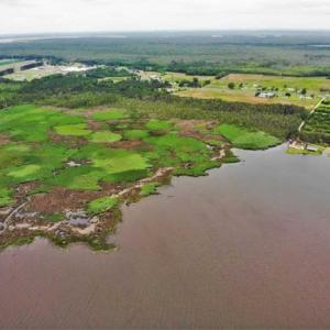 Photo of UNDER CONTRACT!!  109.38 Acres of Waterfront Land For Sale in Currituck County NC!