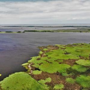Photo of UNDER CONTRACT!!  109.38 Acres of Waterfront Land For Sale in Currituck County NC!