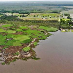 Photo of UNDER CONTRACT!!  109.38 Acres of Waterfront Land For Sale in Currituck County NC!