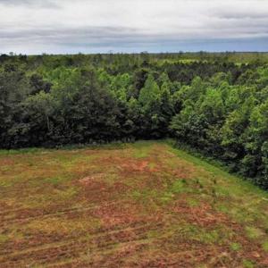 Photo of 23 Ac of Commercial / Residential Development Land in Currituck County NC!