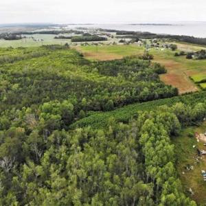 Photo of 23 Ac of Commercial / Residential Development Land in Currituck County NC!