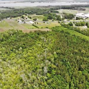 Photo of 23 Ac of Commercial / Residential Development Land in Currituck County NC!