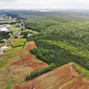 Photo of 23 Ac of Commercial / Residential Development Land in Currituck County NC!