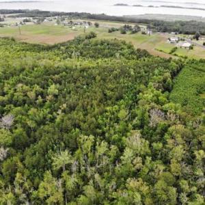 Photo of 23 Ac of Commercial / Residential Development Land in Currituck County NC!