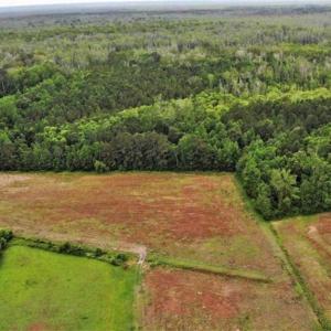 Photo of 23 Ac of Commercial / Residential Development Land in Currituck County NC!