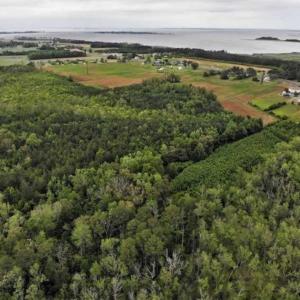 Photo of 23 Ac of Commercial / Residential Development Land in Currituck County NC!