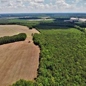 Photo of SOLD!!  245 Acres of Hunting Land with Cabin for Sale in Gates County NC!