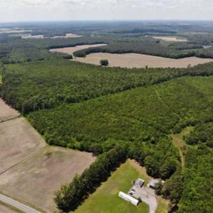 Photo of SOLD!!  245 Acres of Hunting Land with Cabin for Sale in Gates County NC!