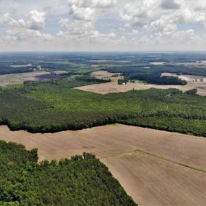 Photo of SOLD!!  245 Acres of Hunting Land with Cabin for Sale in Gates County NC!