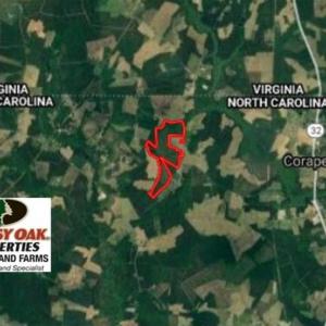 Photo of SOLD!!  245 Acres of Hunting Land with Cabin for Sale in Gates County NC!