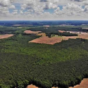 Photo of SOLD!!  245 Acres of Hunting Land with Cabin for Sale in Gates County NC!