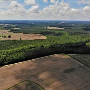 Photo of SOLD!!  245 Acres of Hunting Land with Cabin for Sale in Gates County NC!