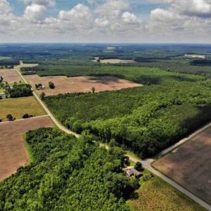 Photo of SOLD!!  245 Acres of Hunting Land with Cabin for Sale in Gates County NC!