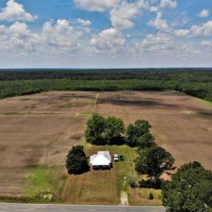 Photo of SOLD!!  245 Acres of Hunting Land with Cabin for Sale in Gates County NC!