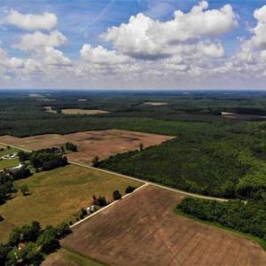 Photo of SOLD!!  245 Acres of Hunting Land with Cabin for Sale in Gates County NC!