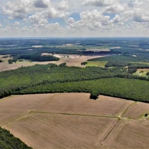 Photo of SOLD!!  245 Acres of Hunting Land with Cabin for Sale in Gates County NC!