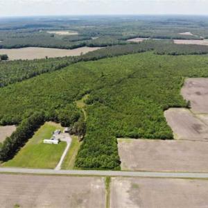 Photo of SOLD!!  245 Acres of Hunting Land with Cabin for Sale in Gates County NC!