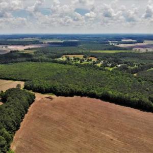Photo of SOLD!!  245 Acres of Hunting Land with Cabin for Sale in Gates County NC!