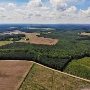 Photo of SOLD!!  245 Acres of Hunting Land with Cabin for Sale in Gates County NC!