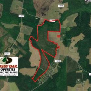 Photo of SOLD!!  245 Acres of Hunting Land with Cabin for Sale in Gates County NC!