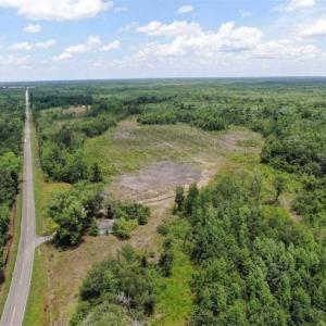 Photo of SOLD!!  283 Acres of Timber and Hunting Land in Marion/Dillon Counties SC!