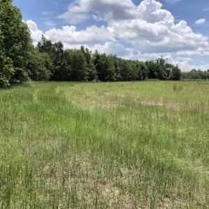 Photo of SOLD!!  283 Acres of Timber and Hunting Land in Marion/Dillon Counties SC!