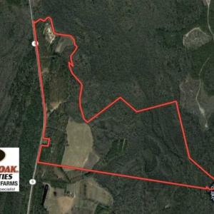 Photo of SOLD!!  283 Acres of Timber and Hunting Land in Marion/Dillon Counties SC!