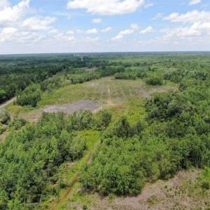 Photo of SOLD!!  283 Acres of Timber and Hunting Land in Marion/Dillon Counties SC!