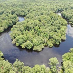 Photo of SOLD!!  283 Acres of Timber and Hunting Land in Marion/Dillon Counties SC!