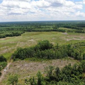 Photo of SOLD!!  283 Acres of Timber and Hunting Land in Marion/Dillon Counties SC!