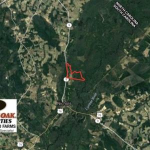 Photo of SOLD!!  283 Acres of Timber and Hunting Land in Marion/Dillon Counties SC!