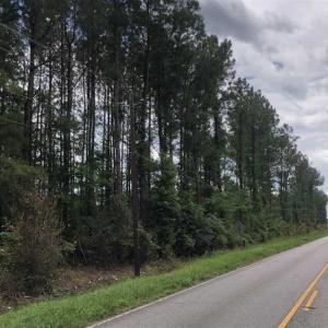 Photo of SOLD!!  283 Acres of Timber and Hunting Land in Marion/Dillon Counties SC!