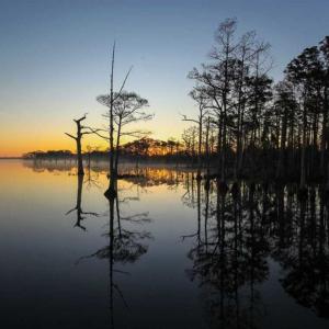 Photo of SOLD!!  14 Acres with Waterfront Home For Sale in Tyrrrell County NC!