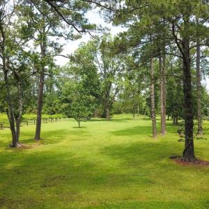 Photo of SOLD!!  14 Acres with Waterfront Home For Sale in Tyrrrell County NC!