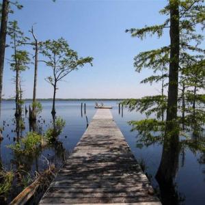Photo of SOLD!!  14 Acres with Waterfront Home For Sale in Tyrrrell County NC!