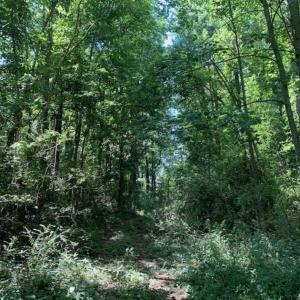 Photo of UNDER CONTRACT!! 1.4 Acres of Residential Land For Sale in Nash County NC!