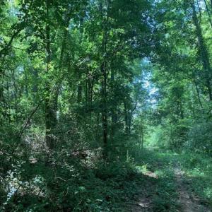 Photo of UNDER CONTRACT!! 1.4 Acres of Residential Land For Sale in Nash County NC!