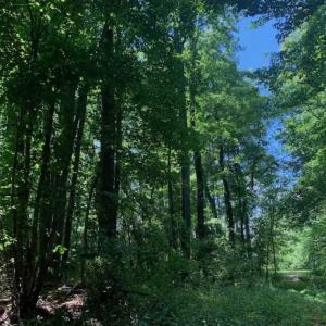 Photo of UNDER CONTRACT!! 1.4 Acres of Residential Land For Sale in Nash County NC!
