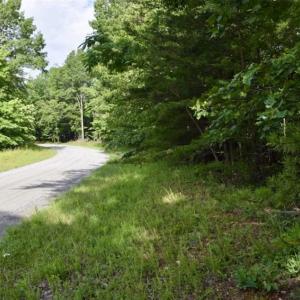Photo of 24 Acres of Hunting and Recreation Land For Sale in Pittsylvania County VA!