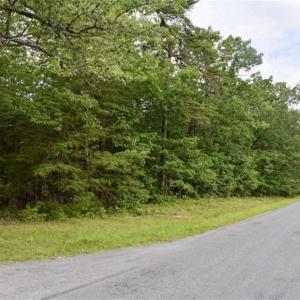 Photo of 24 Acres of Hunting and Recreation Land For Sale in Pittsylvania County VA!
