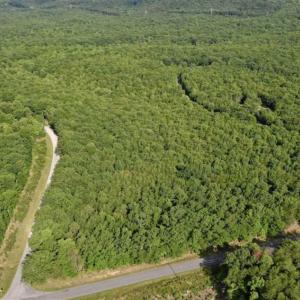 Photo of 24 Acres of Hunting and Recreation Land For Sale in Pittsylvania County VA!