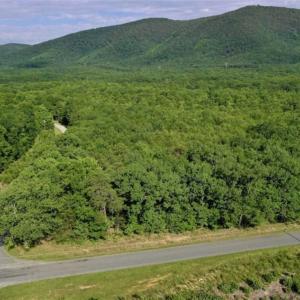 Photo of 24 Acres of Hunting and Recreation Land For Sale in Pittsylvania County VA!